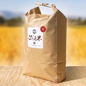 きわだつ大粒！令和6年産【極】白米・10kg　特別栽培米　こぴっと米
