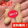 送料無料『生落花生 おおまさり 2kg（Sサイズ）』茹で落花生に最適　南房総産