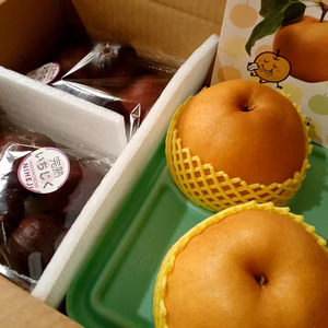 M-１(大)　秋の味覚セット　【完熟いちじく&幸水梨】