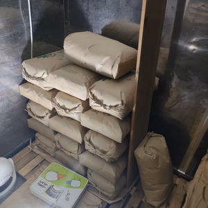 安い！令和6年産はえぬき 玄米11kg（白米10kg相当）