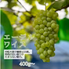 早生ぶどうセット！夏のギフト　あづましずく＋エーデルワイス