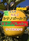 【木箱付き】葉とらずりんご シナノゴールド