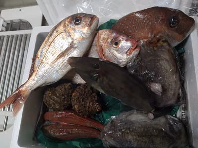 みんなの投稿の画像