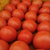 朝倉さんちの完熟トマト