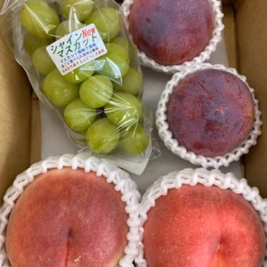 シャインマスカット　桃　貴陽　スペシャルセット　