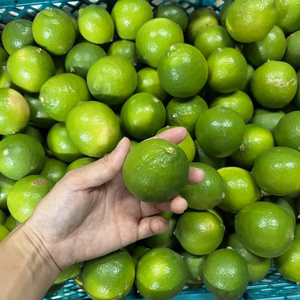 【お買得】香りが良いタヒチライム1kg〜★ノーワックス・農薬節減★無選別お徳用