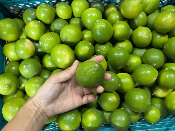 【お買得】香りが良いタヒチライム1kg〜★ノーワックス・農薬節減★無選別お徳用
