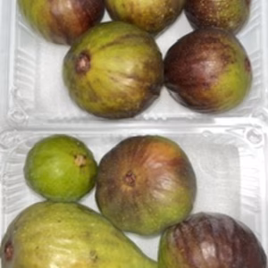 本日1パック限りタイムセール