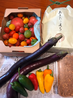 みんなの投稿の画像