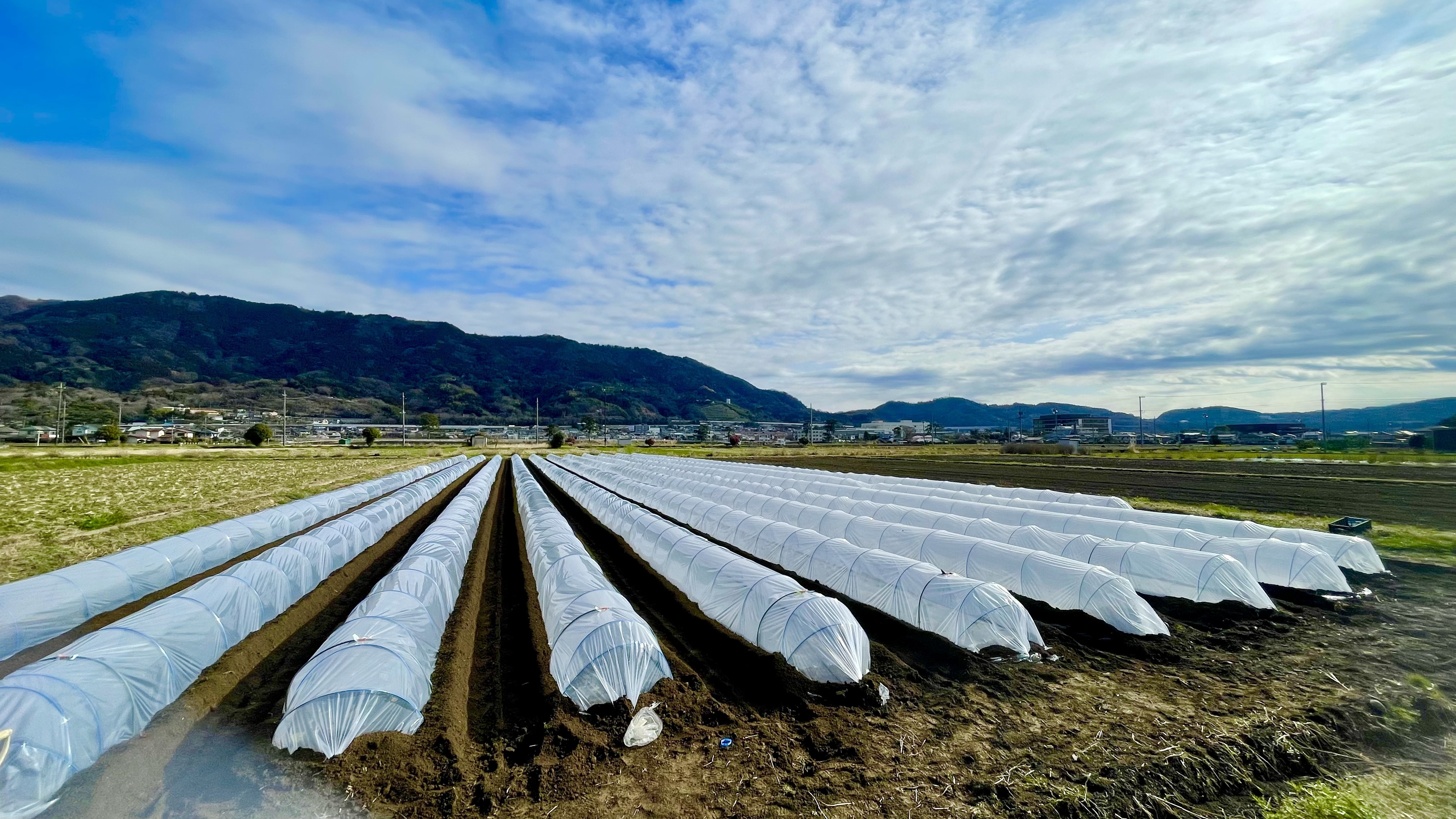 神奈川県足柄上郡開成町｜文命農業｜宮上 透さんの生産者プロフィール