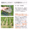 《栽培期間中農薬不使用米・白米》あいさい一楽米　令和6年産徳島県産コシヒカリ