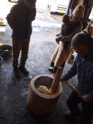 みんなの投稿の画像