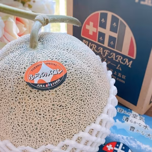 【まだまだ甘〜い！】富良野メロン1玉（大）〜　ギフトに嬉しいビッグメロンが人気！