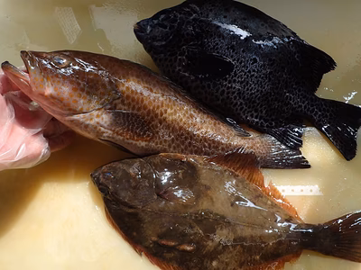 みんなの投稿の画像