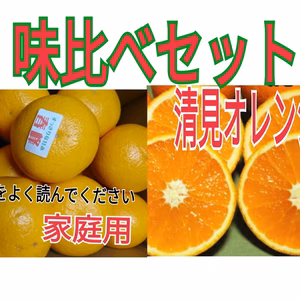 ビッグセール❢身内味比べ【清見オレンジ】＆【春峰オレンジ】家庭用