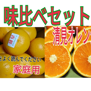 ビッグセール❢身内味比べ【清見オレンジ】＆【春峰オレンジ】家庭用