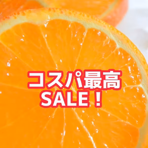 九州 佐賀みかん 訳あり ご家庭用 お得用