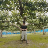 秋本耕佑 | ksfarm