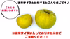 【送料無料】スーパームーンりんご＆サンふじ・訳あり5kg