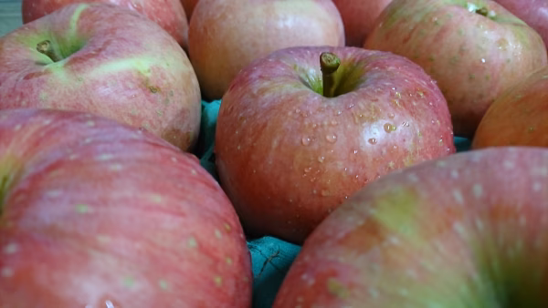 秋田生まれ　秋田紅あかり10キロ36～46玉　うすあかりジュース用