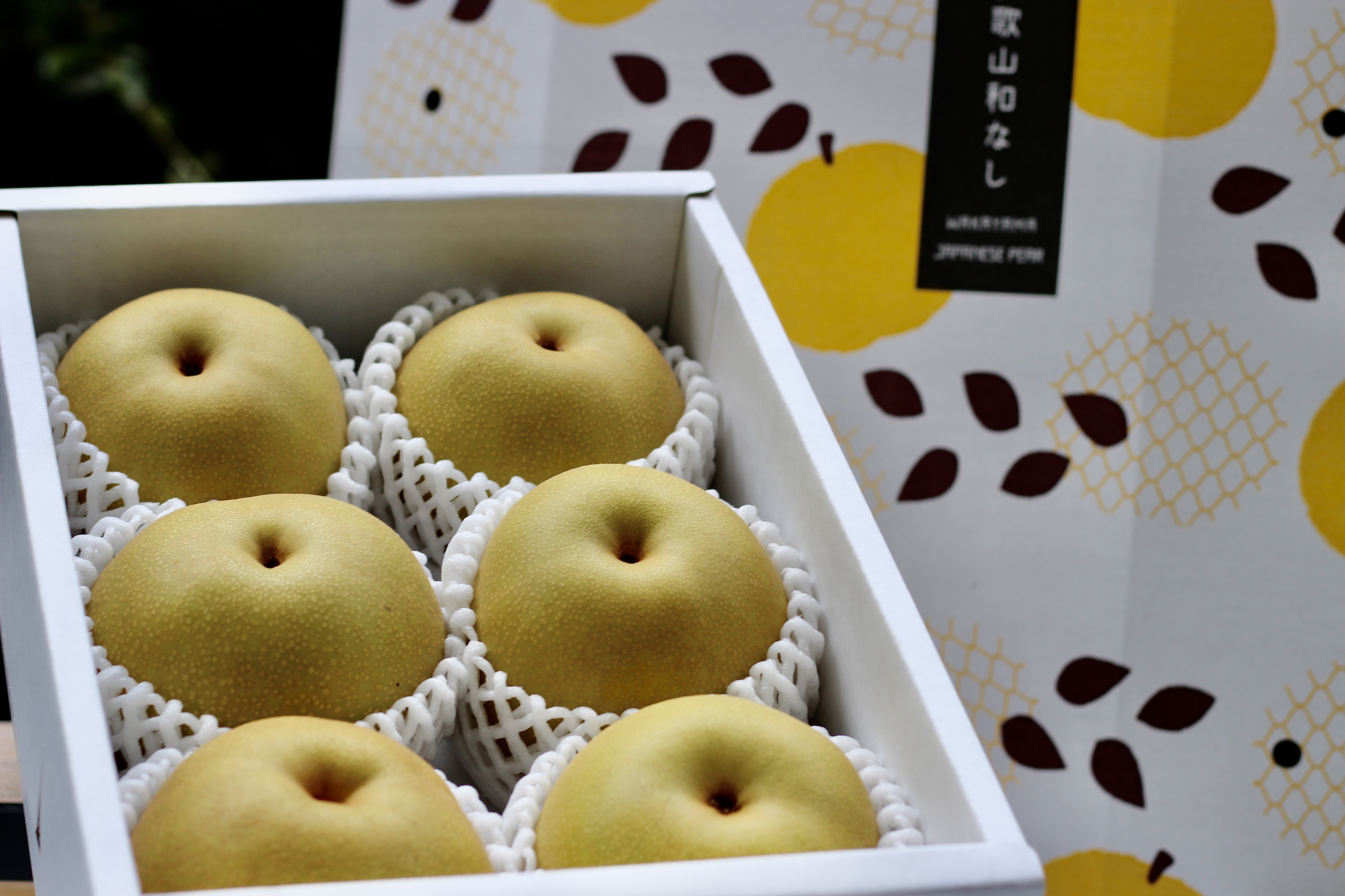 数量限定❗️大玉豊水梨[袋掛け栽培]天空の村よりお届け♪ 大玉小箱(5個〜6個入)約2.5kg