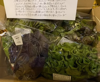 みんなの投稿の画像