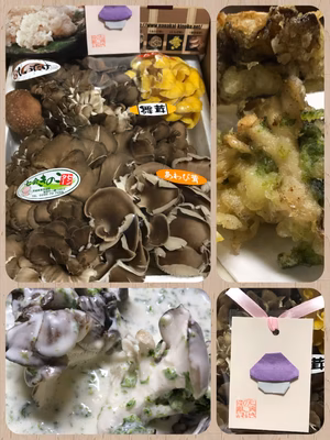 みんなの投稿の画像