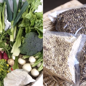 草木堆肥で育てた旬の露地野菜セットと麦茶麦ごはんのセット