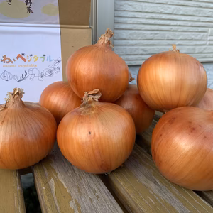 大地の恵み‼️淡路島の完熟玉ねぎ