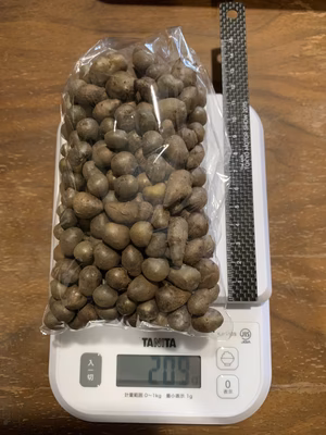 みんなの投稿の画像