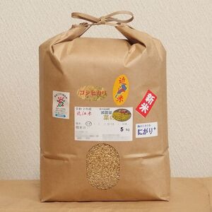 令和2年産☆近江米コシヒカリ☆減農薬菜の花米☆5kg☆玄米