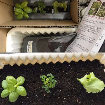 みんなの投稿の画像