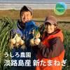130件超え‼︎【4月予約】地元でも美味しいと好評！！淡路島の新たまねぎ！5kg