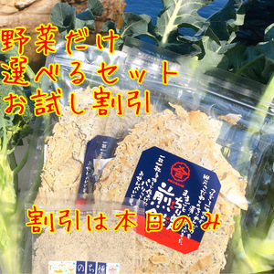 ２３日着　漁師の畑そのままお野菜と選べるセットちりめん煎餅燻製　最終福箱