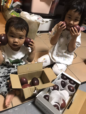 みんなの投稿の画像