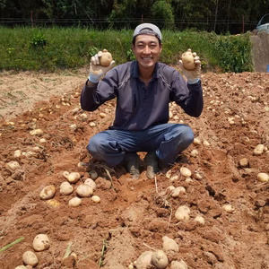 ホクホク瀬戸内ジャガイモ