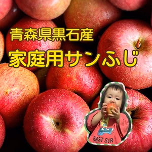 青森県産サンふじ(6個入り)