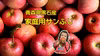 青森県産サンふじ(6個入り)