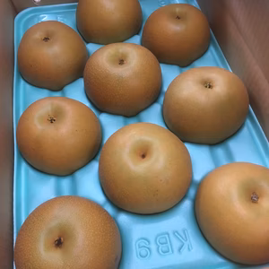 【9月16〜22お届け】甘いのに後味サッパリ！ 【5L〜6L】あきづき梨