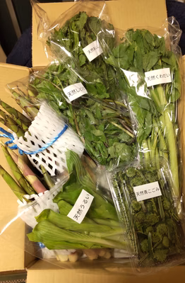 みんなの投稿の画像