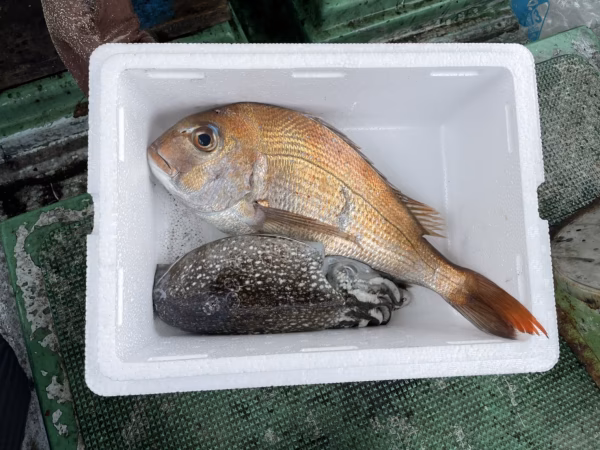 超初心者様用or 1人、2人様向け用の少量タイプ