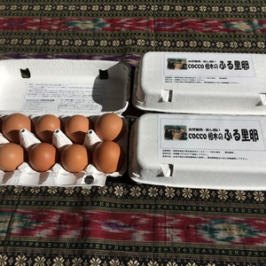 【月１回】生食に最適！ 放し飼いの鶏が産んだ卵３０個入り