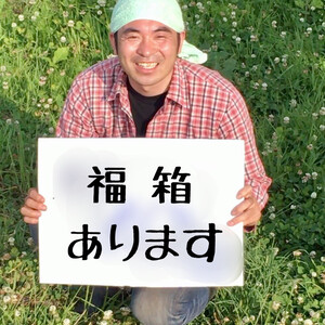 夕顔一本が入る福箱セット（遊び心編）100サイズ