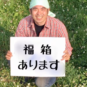 福箱セット（おっきくなっちゃったバージョン）80サイズ