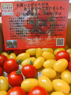 みんなの投稿の画像