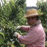 千葉英明