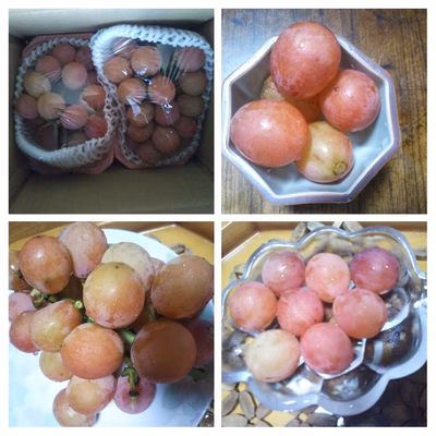 みんなの投稿の画像