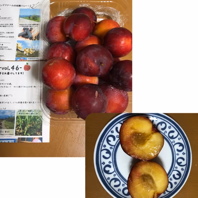 みんなの投稿の画像