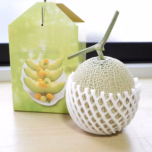 青肉アールスメロン（1玉入り箱）　秋メロン