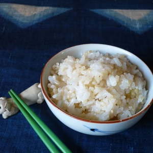 【真空チャックパック】分づき米2Kg×2袋-新潟コシヒカリ「Riki-Saku」